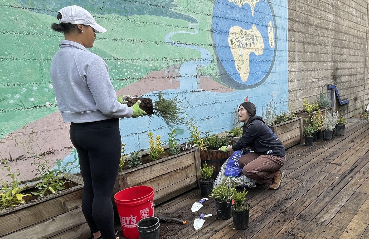 Student volunteers plan herbs in garden boxes
